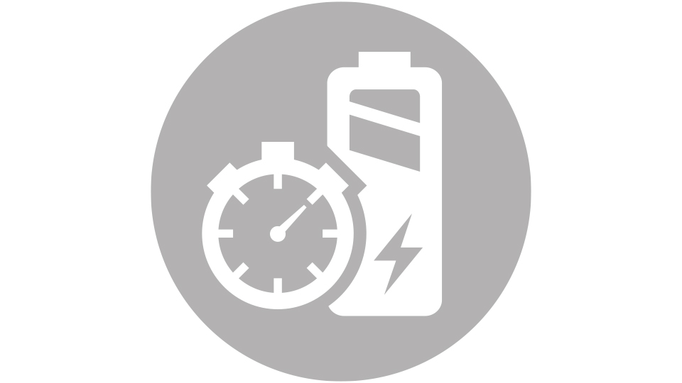 ICON Fast charge